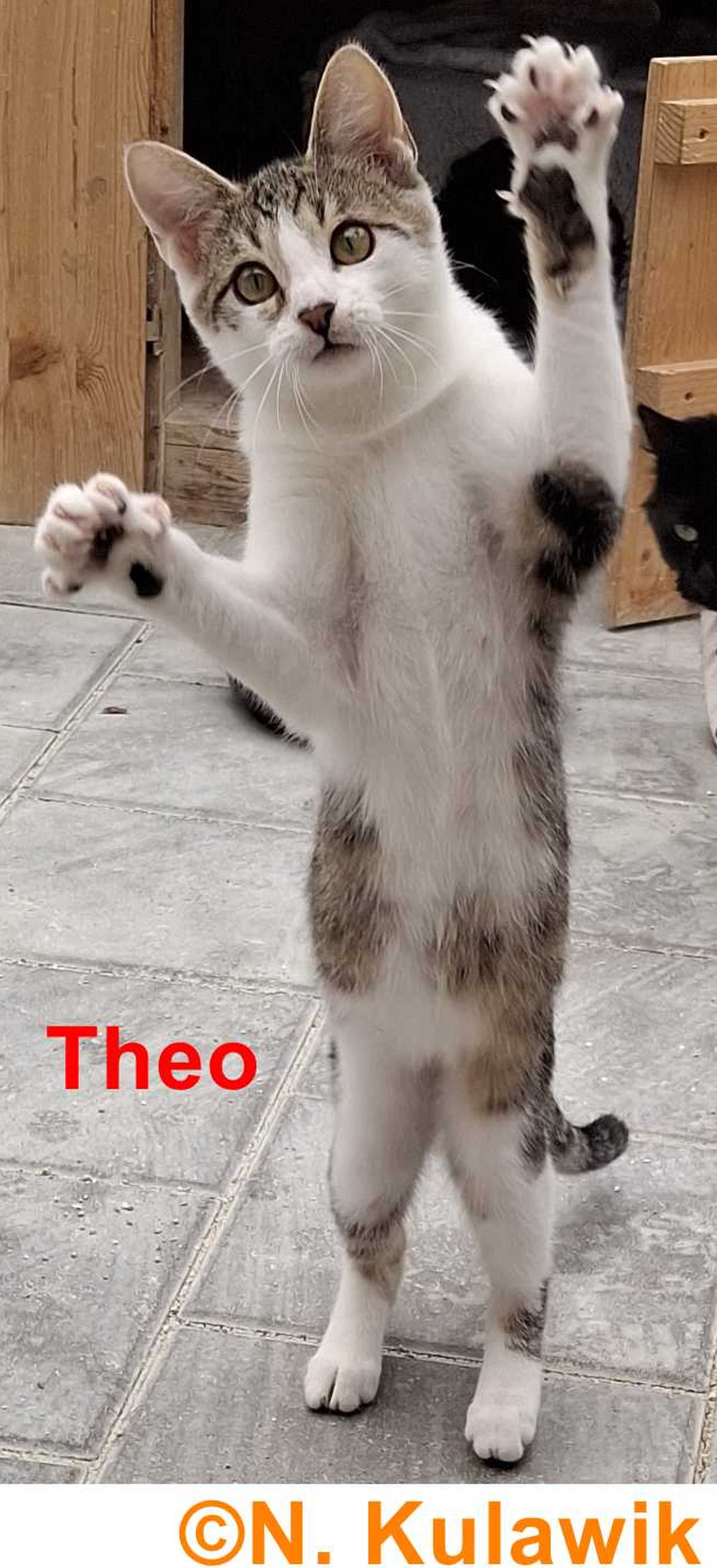 Aaaron u Theo 1