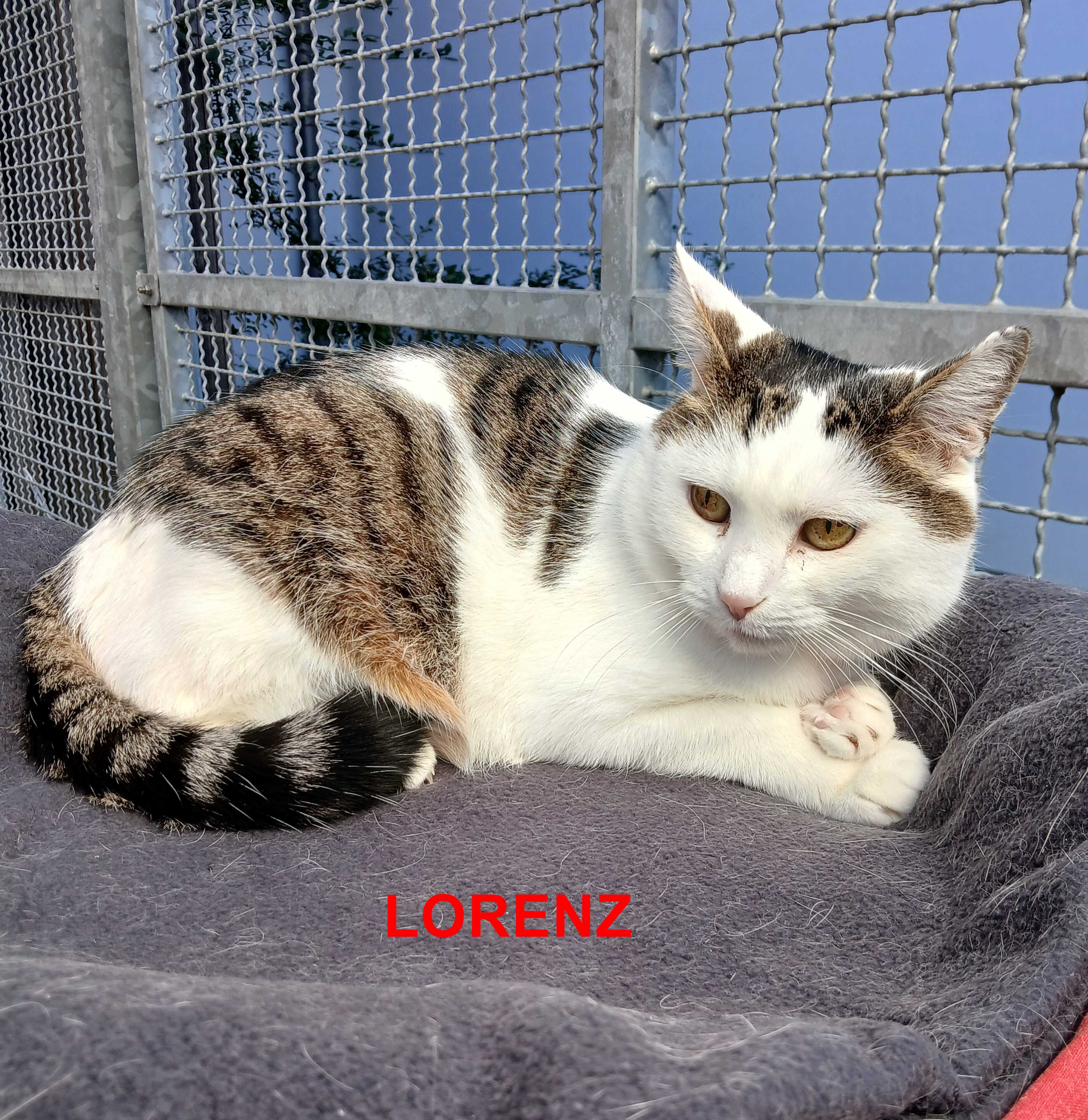 Lorenz