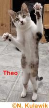 Aaaron u Theo 1